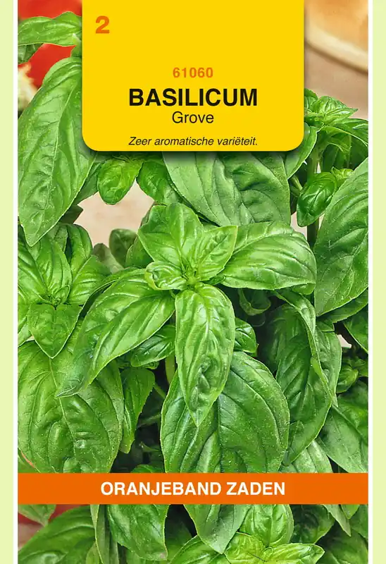 OBZ Basilicum Grove - Actieprijs