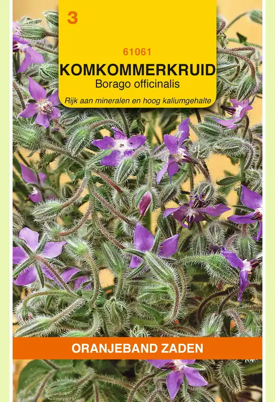 OBZ Borage Komkommerkruid | Veilig winkelen