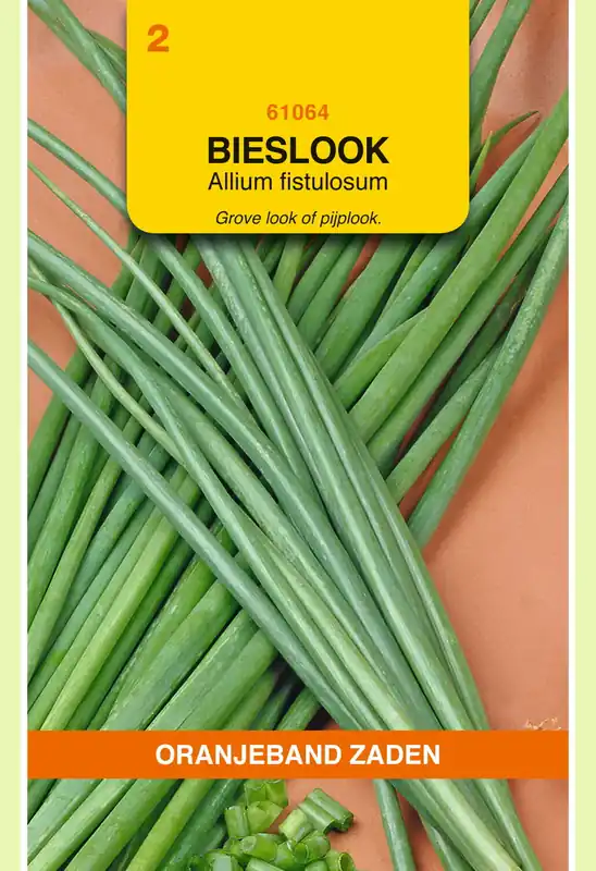 OBZ Bieslook Grove - Winterhecke | Uitverkoop
