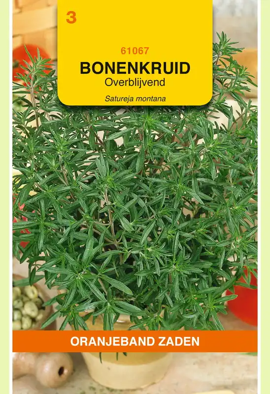 OBZ Bonenkruid Overblijvend | Fabrieksprijs