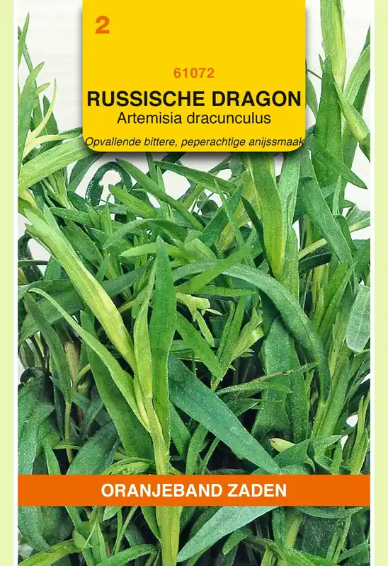 OBZ Dragon Russische | Aanbieding