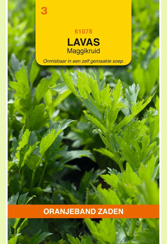 Makkelijk bestellen - OBZ Lavas (maggiplant)