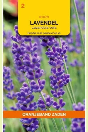 Zojuist toegevoegd | OBZ Lavendel