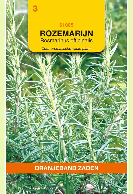 Beste prijs - OBZ Rozemarijn