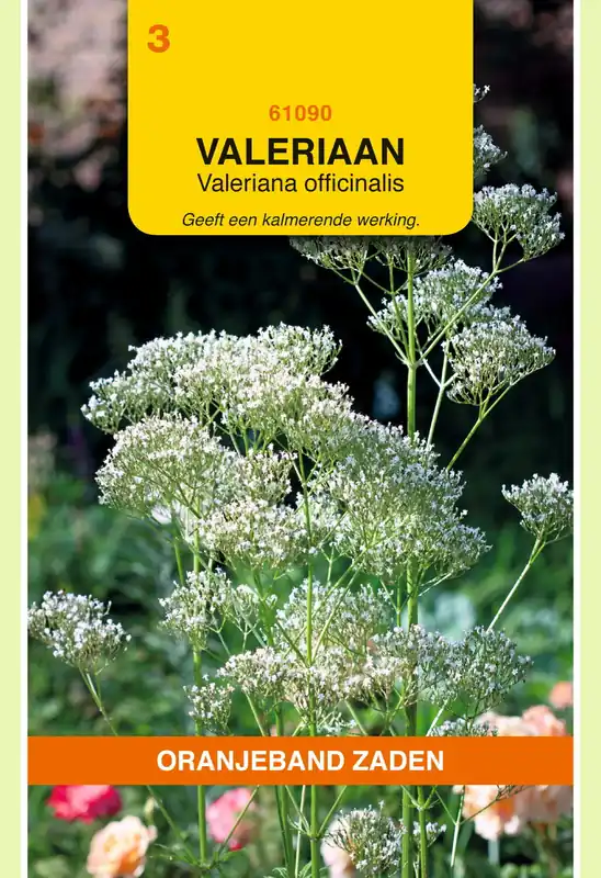 OBZ Valeriaan - Actieprijs