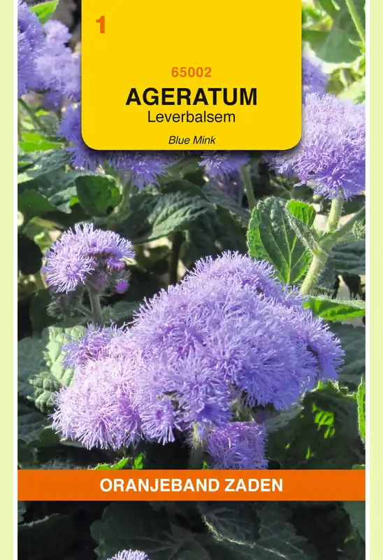 Trending | OBZ Ageratum, Leverbalsem Blue Mink