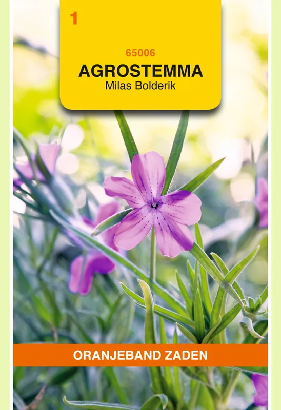 OBZ Agrostemma, Bolderik Milas - Zolang de voorraad strekt