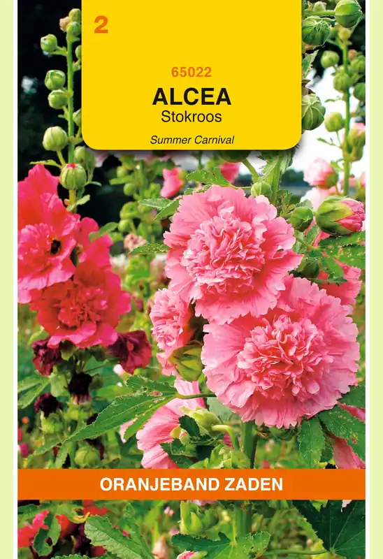 Veel voordeel - OBZ Althaea (Alcea), Stokroos Summer Carnaval