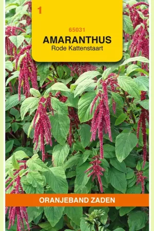 Aanrader - OBZ Amaranthus, Kattenstaart rood