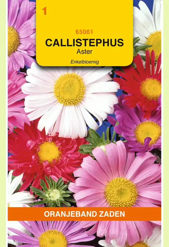 OBZ Callistephus, Aster enkelbloemig gemengd - Sale