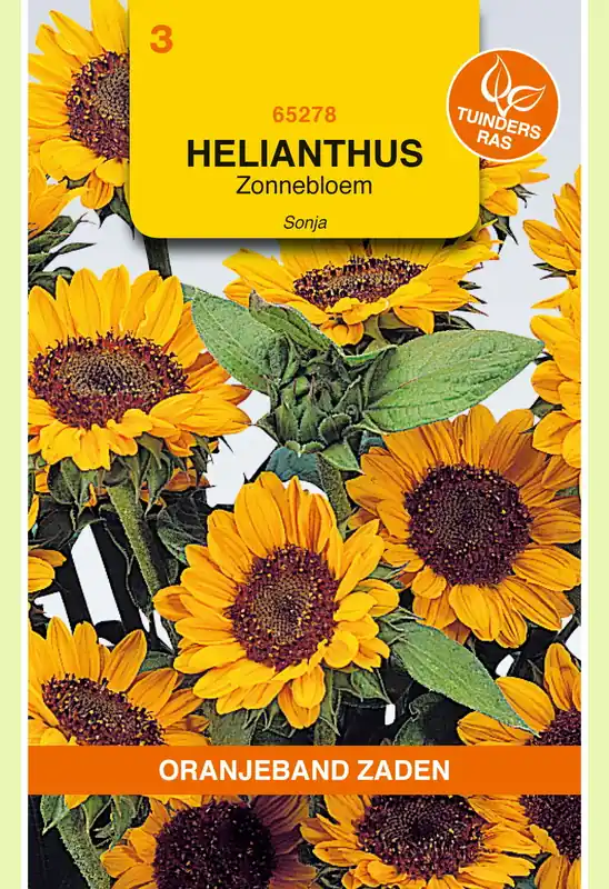 OBZ Helianthus, Zonnebloem Sonja | Speciale deal