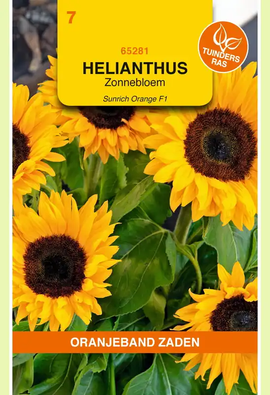 OBZ Helianthus, Zonnebloem Sunrich Orange F1 - Nu beschikbaar