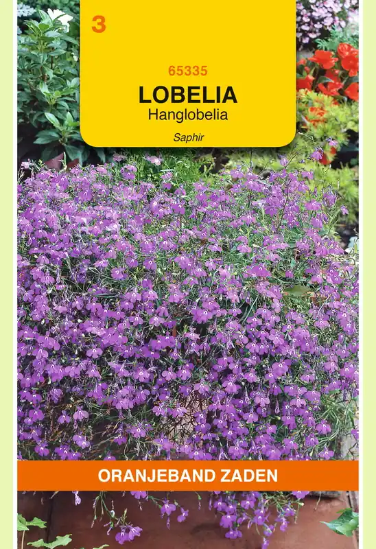 OBZ Lobelia Saphir, blauw | Speciale aanbieding