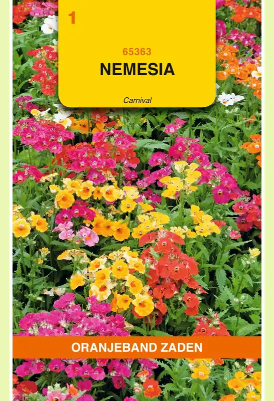 Nieuw binnengekomen | OBZ Nemesia Carnival gemengd