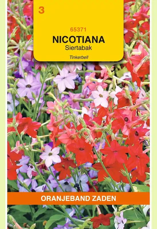OBZ Nicotiana, Siertabak Tinkerbell gemengd - Bestel nu
