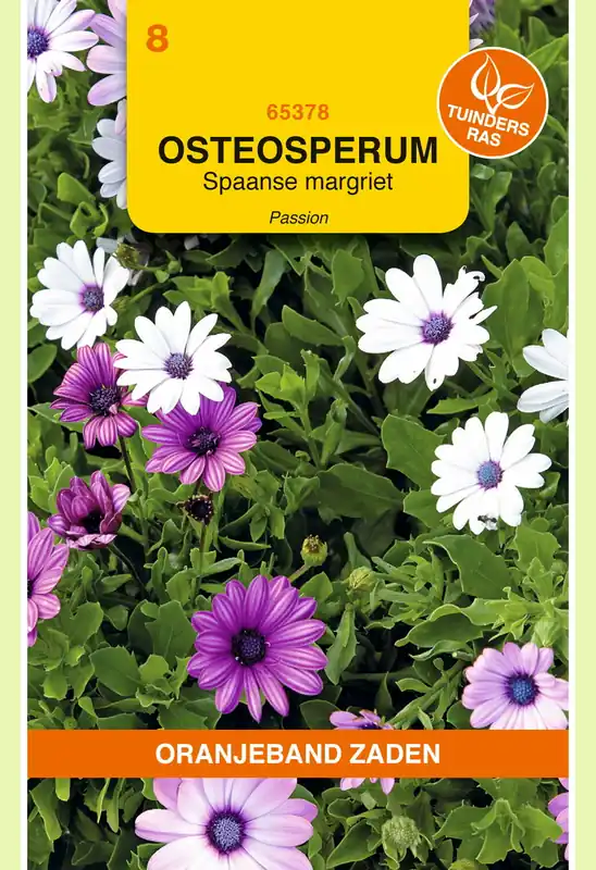 OBZ Osteospermum, Spaanse Margriet Passion gemengd | Snelle verzending