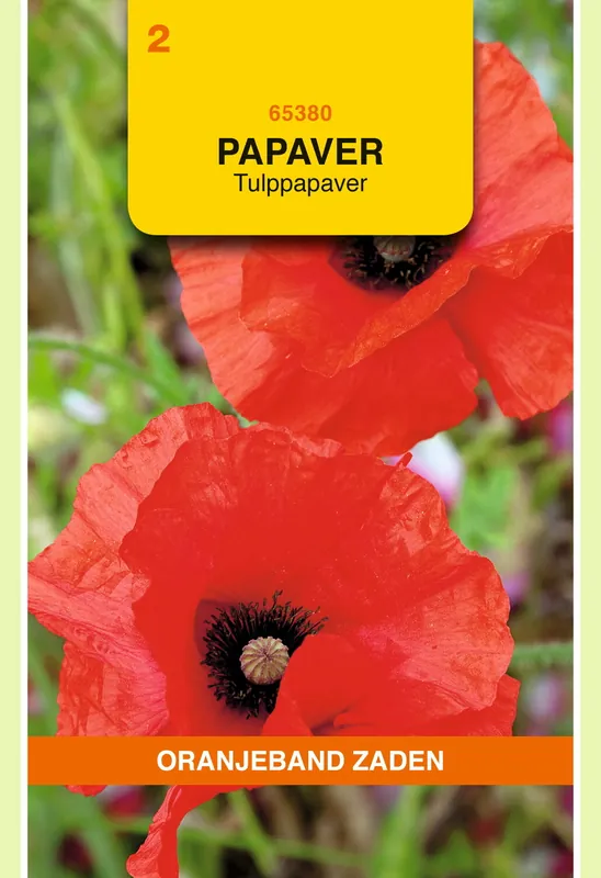 OBZ Papaver, Tulppapaver - Topdeal