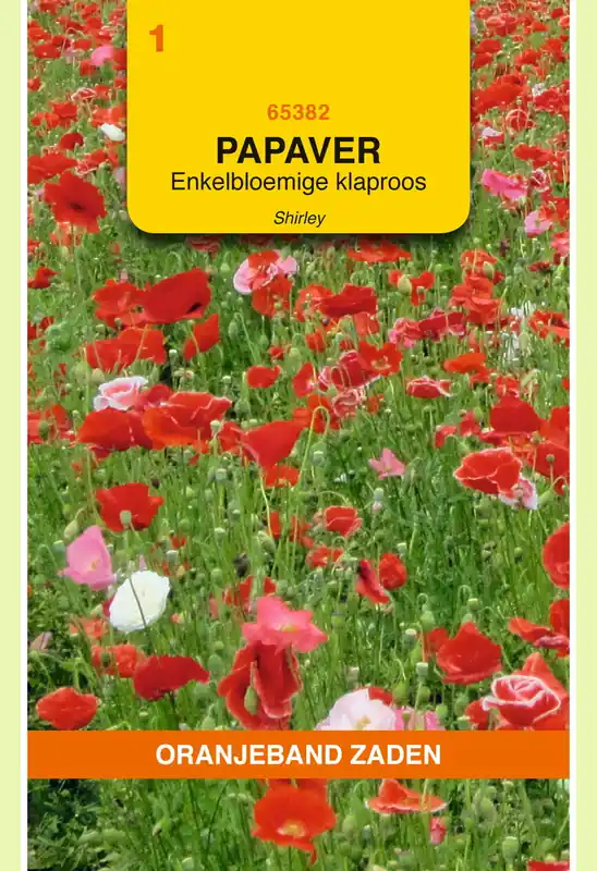 Uitverkoop - OBZ Papaver, Klaproos enkelbloemig Shirley