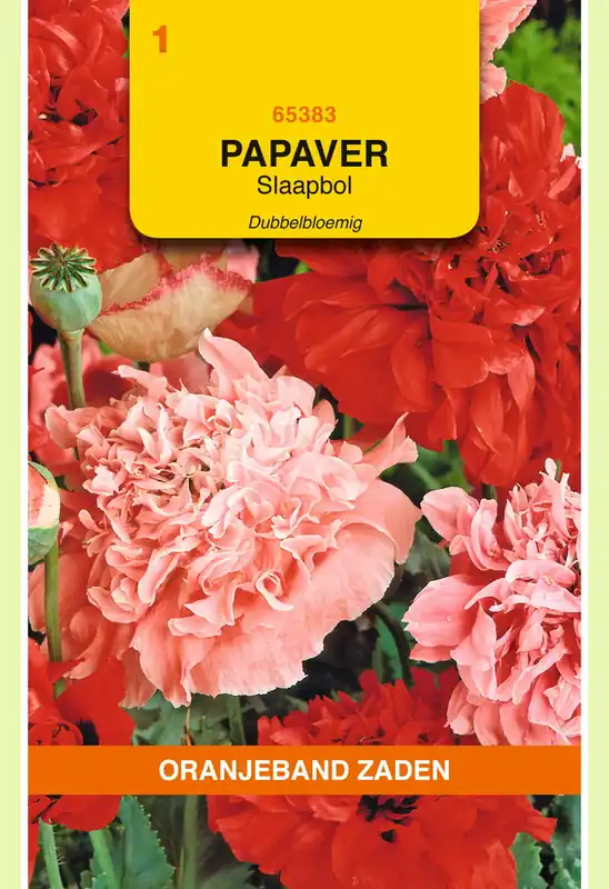 OBZ Papaver, Slaapbol dubbelbloemig gemengd | Goed beoordeeld