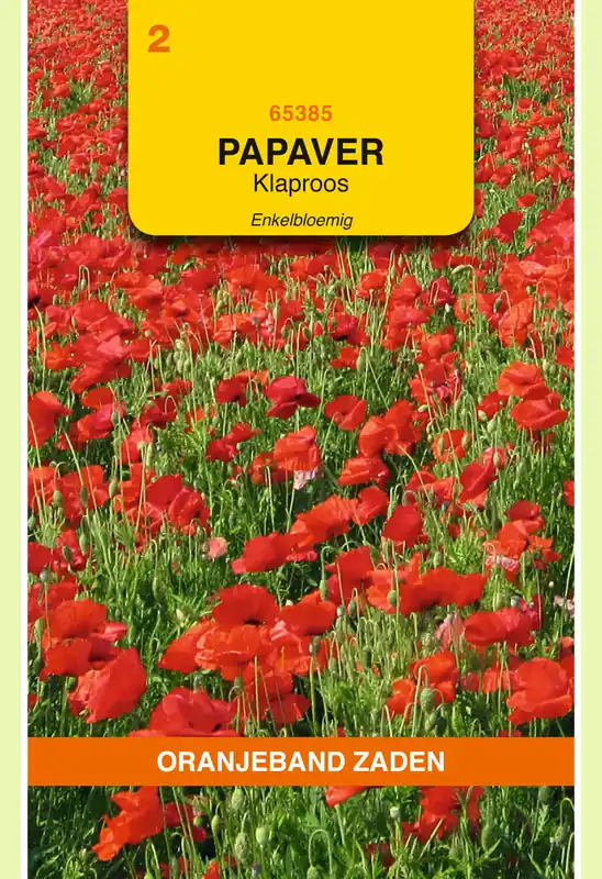 Snelle levering | OBZ Papaver, Klaproos enkelbloemig (gewone)