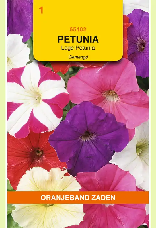 OBZ Petunia laag gemengd | Nieuw gelanceerd