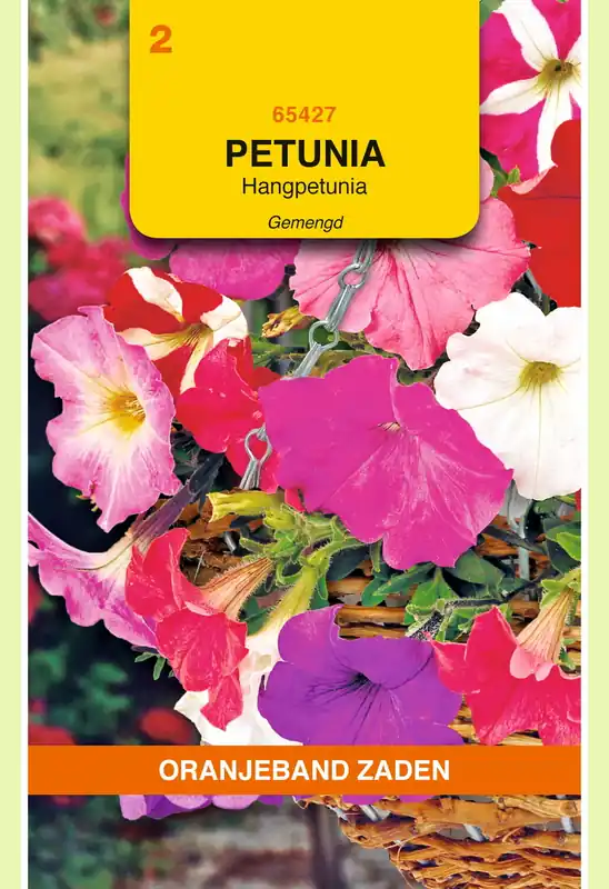 OBZ Petunia, Hangpetunia gemengd - Rechtstreeks van de fabrikant