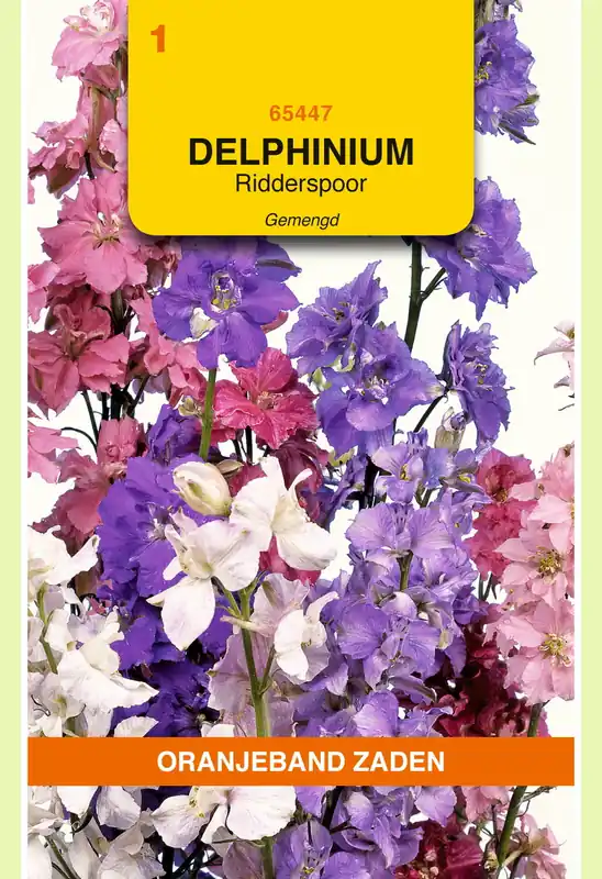 OBZ Delphinium, Ridderspoor gemengd - Topkwaliteit