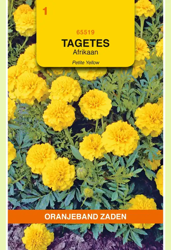 OBZ Tagetes, Afrikaan Petite Yellow - Lage prijs