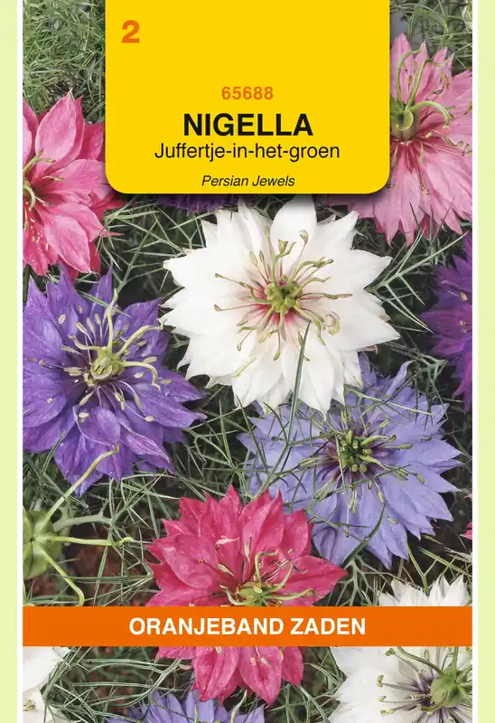 OBZ Nigella, Juffertje-in-het-groen Persian Jewels gemengd - Tijdelijke actie