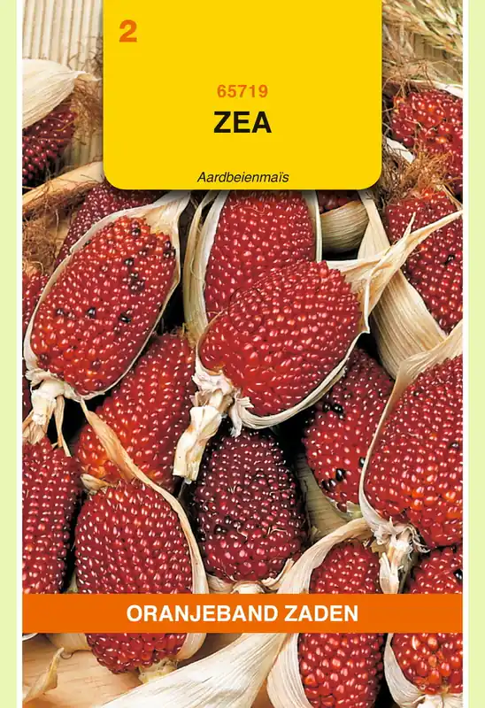 Op voorraad - OBZ Zea, Aardbeienmais