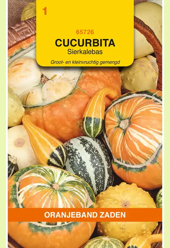 Nu beschikbaar - OBZ Cucurbita, Sierkalebas groot- en kleinvruchtig gemengd