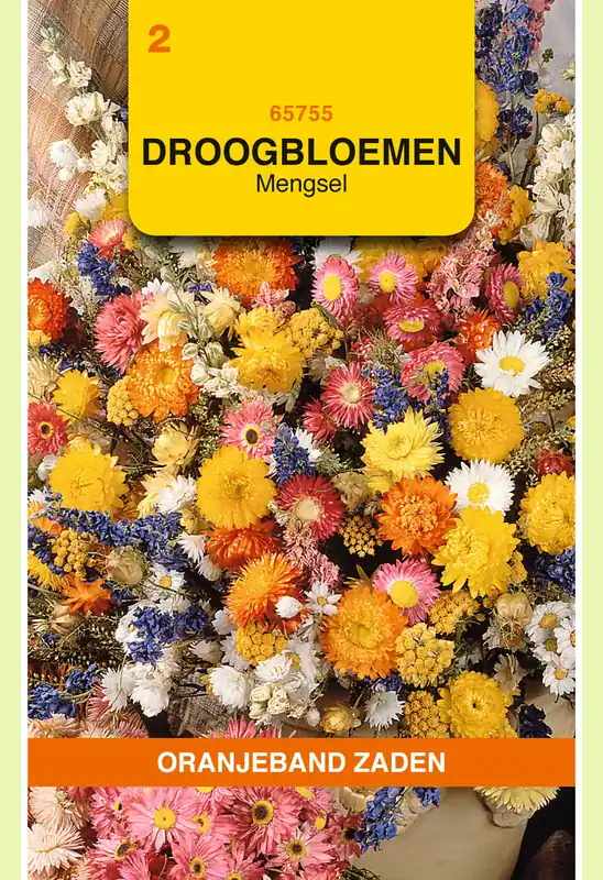 OBZ Droogbloemen mengsel - Topdeal