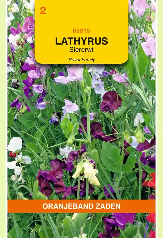 Wees er snel bij - OBZ Lathyrus, Reuk- of siererwt Royal gemengd