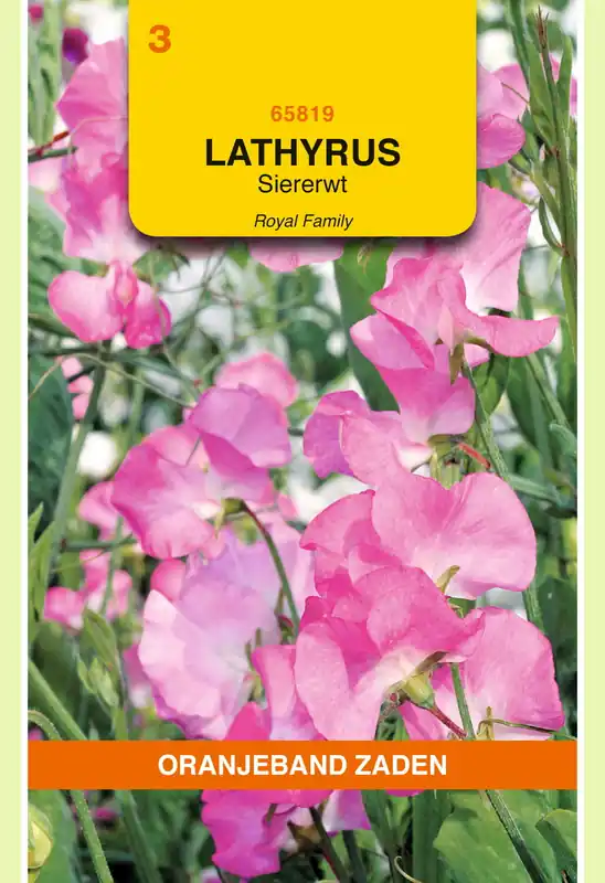 Bijna uitverkocht | OBZ Lathyrus, Reuk- of siererwt Royal, roze