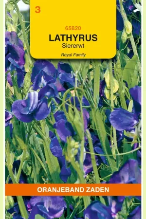 Actie - OBZ Lathyrus , Reuk- of siererwt Royal, blauw