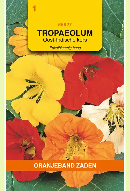 Korting | OBZ Tropaeolum, Oost-Indische kers enkelbloemig hoog