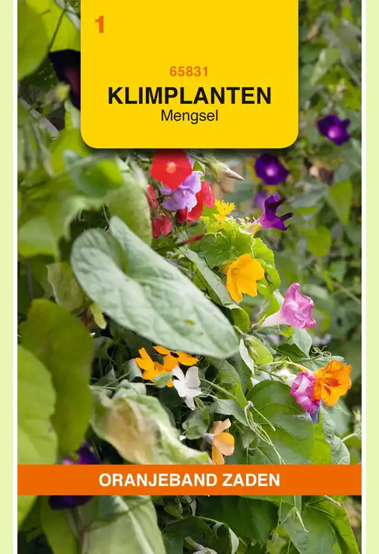 OBZ Klimplanten mengsel | Makkelijk bestellen