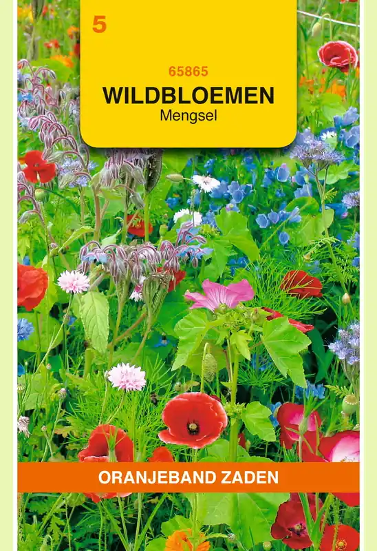 OBZ Wildbloemen mengsel - Scherpe prijs