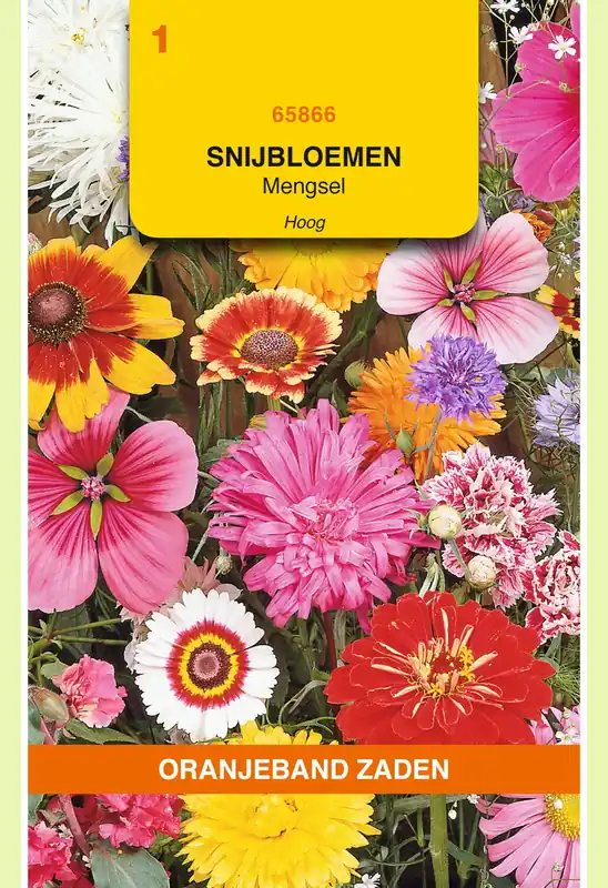 Tijdelijk aanbod - OBZ Snijbloemen mengsel