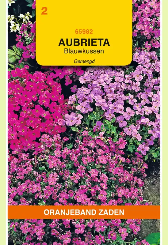 OBZ Aubrietia, Blauwkussen gemengd | Superprijs