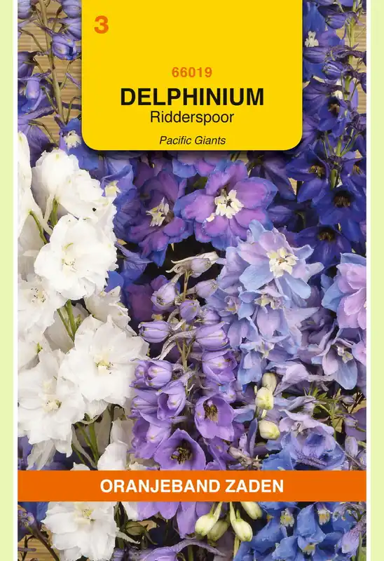 OBZ Delphinium, Ridderspoor Pacific Giants - Outlet