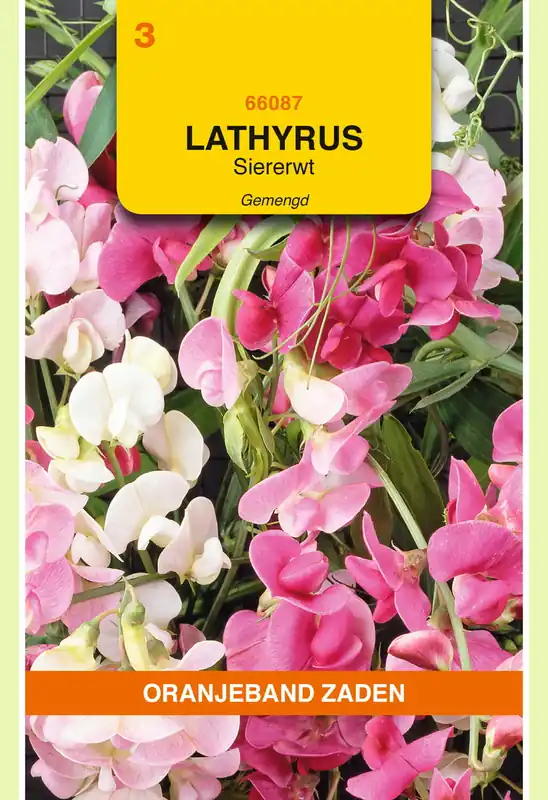 Klantfavoriet - OBZ Lathyrus, Reuk- of Siererwt gemengd, overblijvend