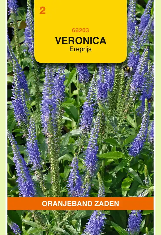 OBZ Veronica, Ereprijs, blauw - Erg populair