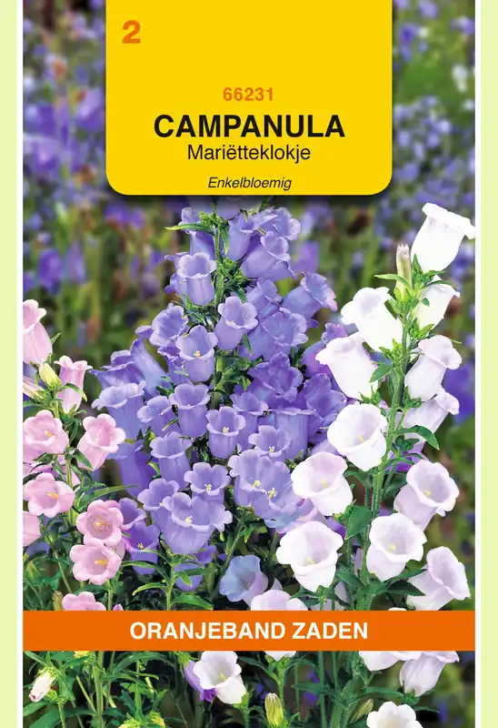 Nieuw in het assortiment | OBZ Campanula, Mariëtteklokje enkelbloemig gemengd