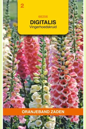 Aanbieding | OBZ Digitalis, Vingerhoedskruid gemengd