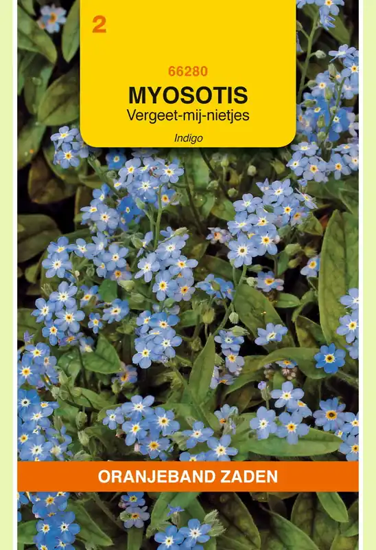 OBZ Myosotis, Vergeet-mij-niet Indigo, blauw | Topdeal