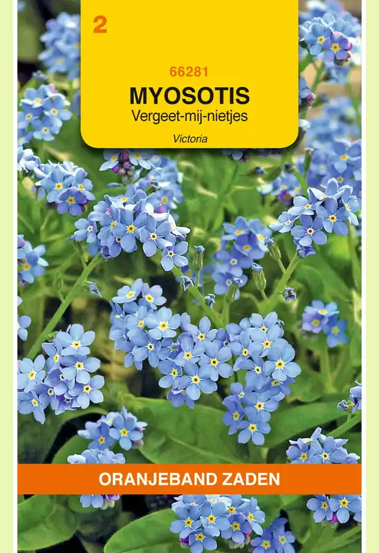Direct leverbaar | OBZ Myosotis, Vergeet-mij-niet Victoria, blauw