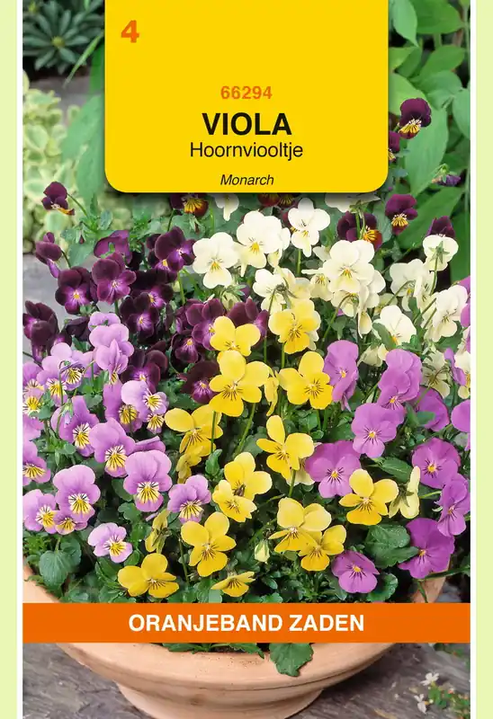 OBZ Viola, Hoornviooltje gemengd | Rechtstreeks van de fabrikant