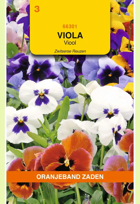 Sale - OBZ Viola, Viool Zwitserse Reuzen gemengd