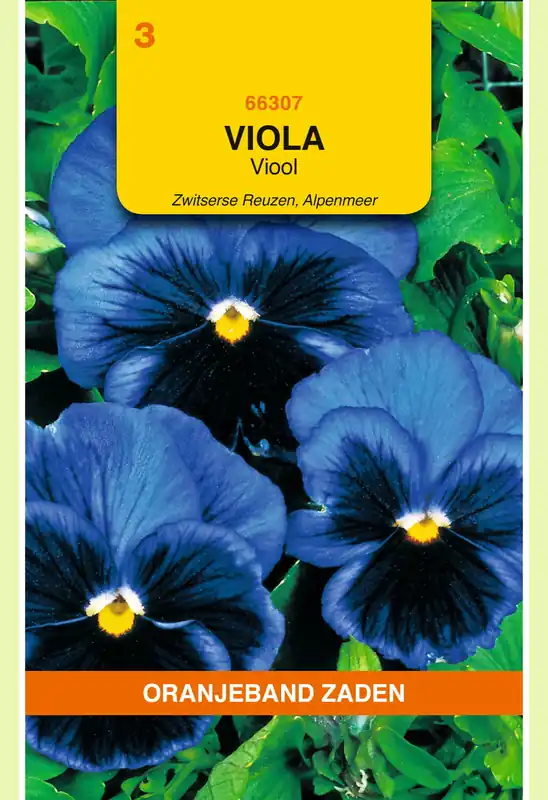 Veel gevraagd - OBZ Viola, Viool Alpenmeer